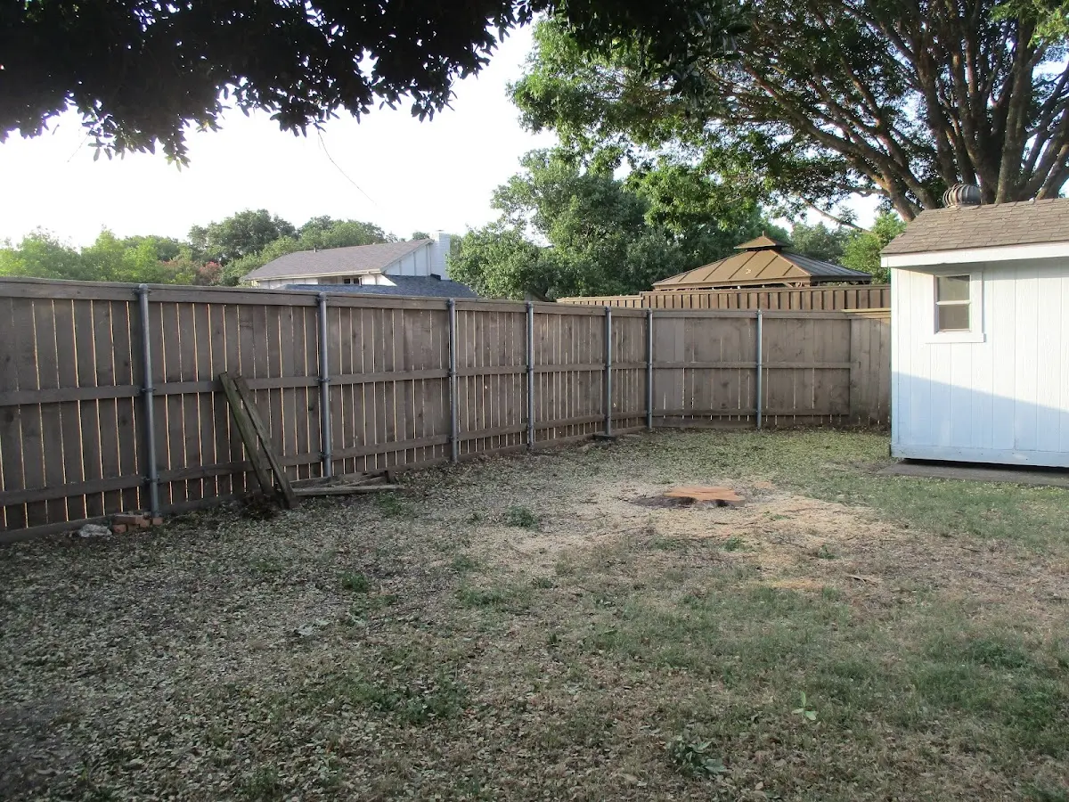 Cleared yard after professional tree removal in Kimberly